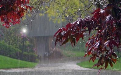 nature-landscapes_hdwallpaper_cold-fall-rain_3772