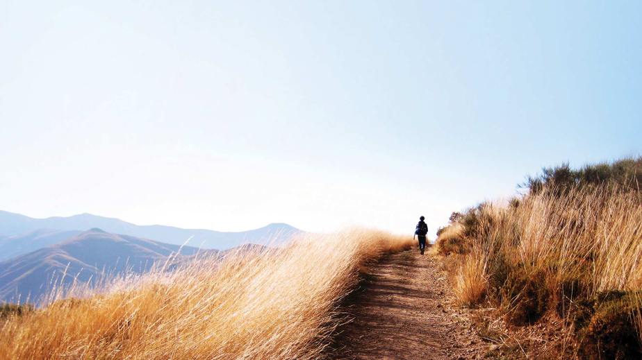 Perilous path of delirious&nbsp;mind